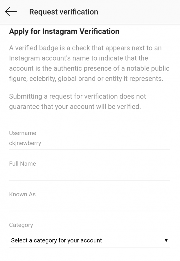Instagram verification details